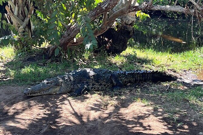 Adventure on the Emerald Coast Ventanilla, Mazunte, Puerto Ángel - Transport, Guide, and Overall Experience