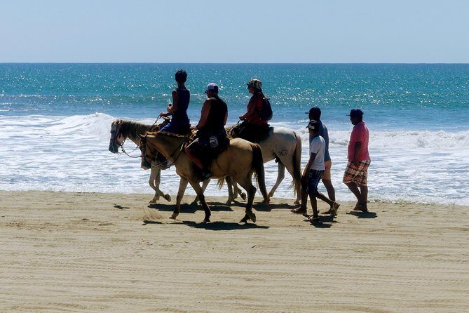 Afro-Mexican Village: Horseback Beach Ride, Crocs & Cliff Diver - Who Should Consider This Tour?