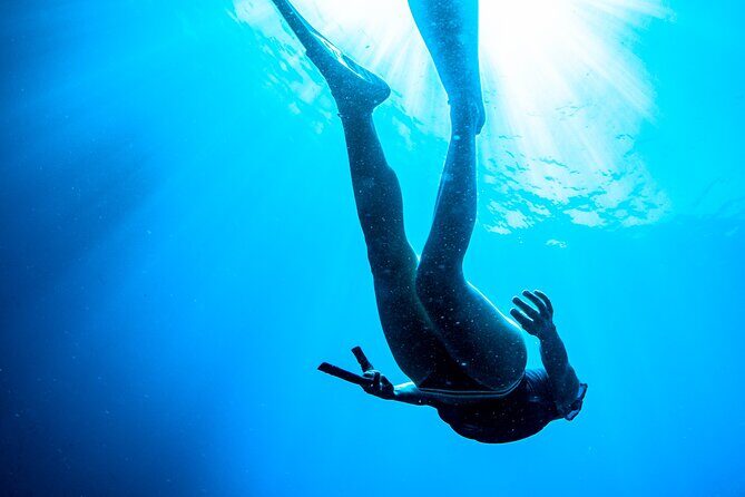 Afternoon snorkelling guided by a marine biologist in Sorrento - Who Should Book This Tour