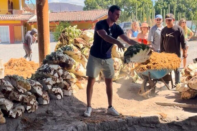 Agave Adventures Mexico - Practical Details and Value