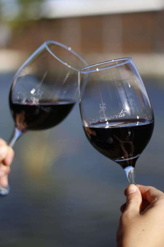 Aguascalientes: Enotourism Tour - Who Will Love This Tour?