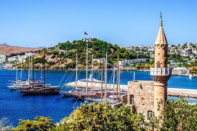 Airport Transfer: Bodrum Airport BJV to Bodrum by Luxury Van - The Itinerary in Detail
