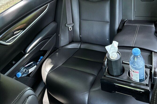 Airport Transfer from Ronald Reagan Airport DCA to Washington DC - Authentic Feedback from Travelers