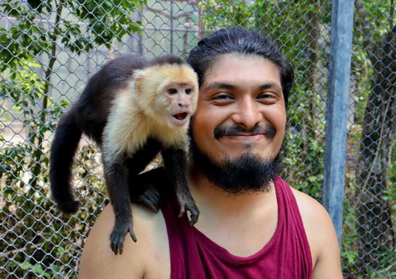 Akumal: Explore the Monkey Sanctuary, ATV Circuit and Cenote - Who This Tour Is Best For