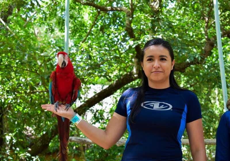 Akumal: Monkey Sanctuary, ATV, Cenote, & Yalku Snorkel Tour - Visiting the Akumal Monkey Sanctuary: Wildlife and Conservation