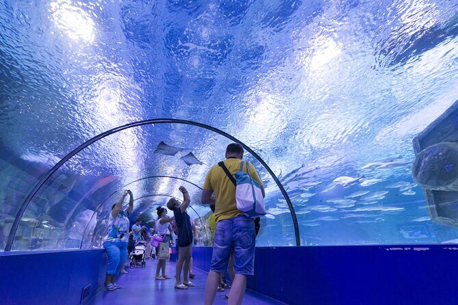 Alanya: Aquarium, Wax Museum, Snow World, Wild Park, XD Cinema - A Deep Dive into the Tour Experience