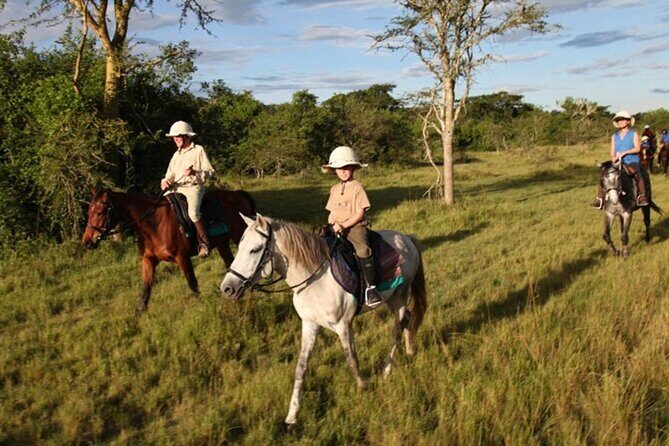 Alanya Horse Riding Experience - What to Expect During the Ride