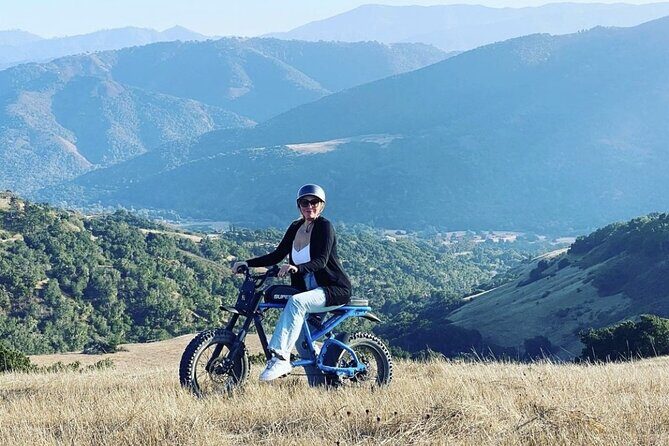 Albatross Ridge Vineyards Electric Bike Tour & Wine Tasting - The Picnic: Artisanal Snacks in a Beautiful Setting