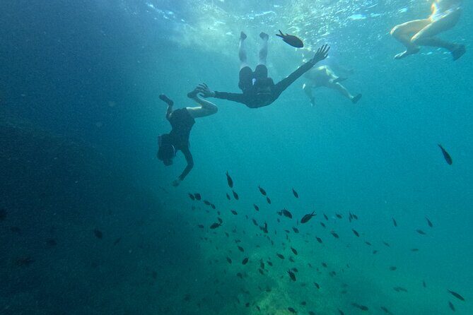 Alcudia: Guided Sea Kayaking & snorkelling Tour (day & sunset) - Who Should Consider This Tour?