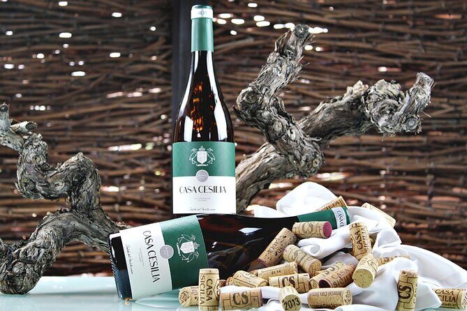 Alicante Old Winery Tour and Wine Tasting Including Transfer - The Guided Visit: History and Production