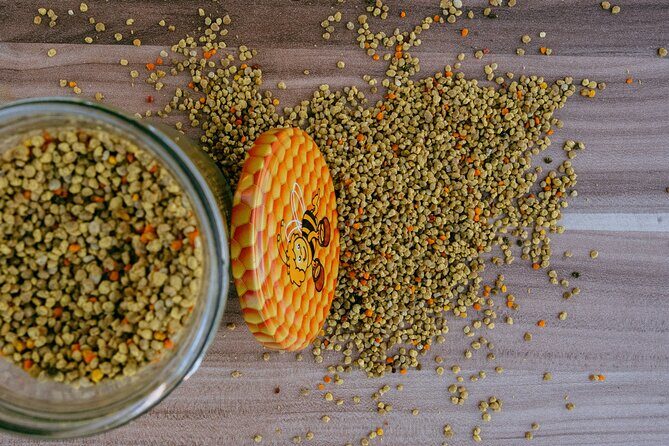 All About Bees Tour from Ljubljana - Is the Price Worth It?