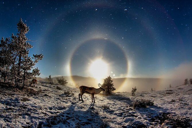 All Day Snowmobile Driving - Is It Worth the Price?