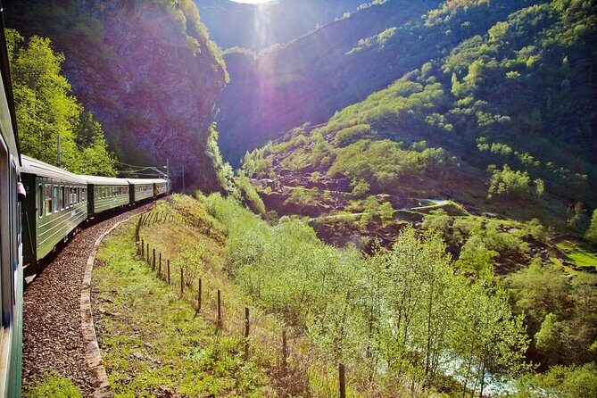 ALL ELECTRIC: Emission free tour to the World Heritage Fjords, 13 hours - The Experience for Different Travelers