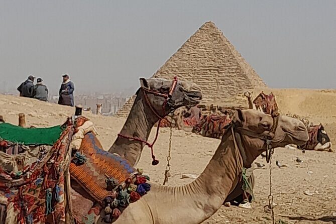 All exclusive Giza Pyramids with Camel ride - Who Will Love This Tour?