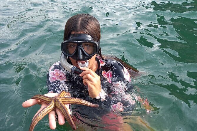 All-inclusive Colomitos cruise and Animas beach snorkeling - Organizational Aspects and Traveler Tips