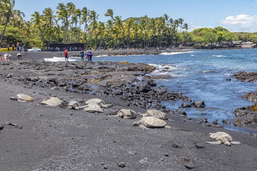 All-Inclusive: Volcanoes, Lava Tube & Black Sand Beach Tour - What Makes This Tour Stand Out
