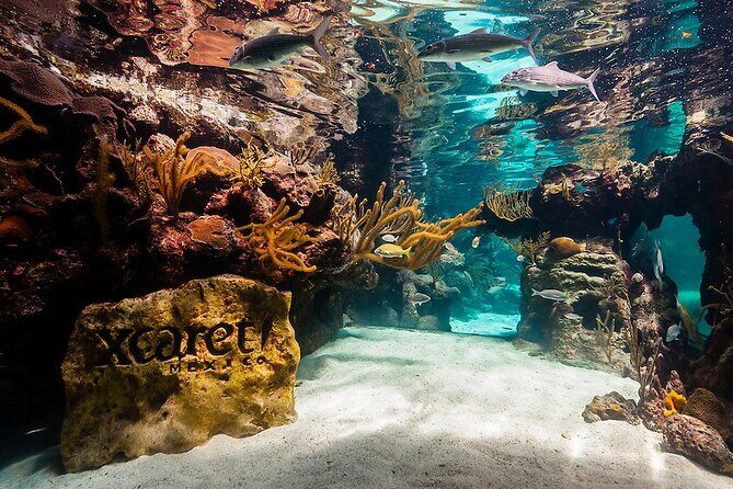 All-inclusive Xcaret Park with Transportation from Cancun & Playa Del Carmen - Detailed Itinerary Breakdown