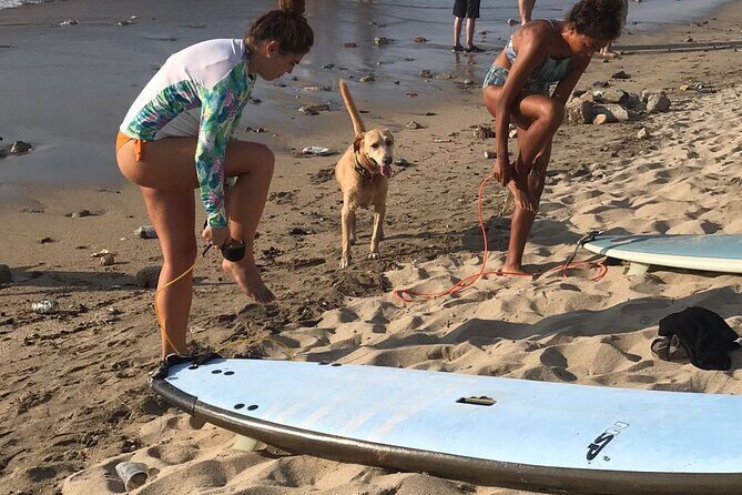 Almar Surf & Skate School: Surflessons in Bahia de Banderas - Practical Details and Booking