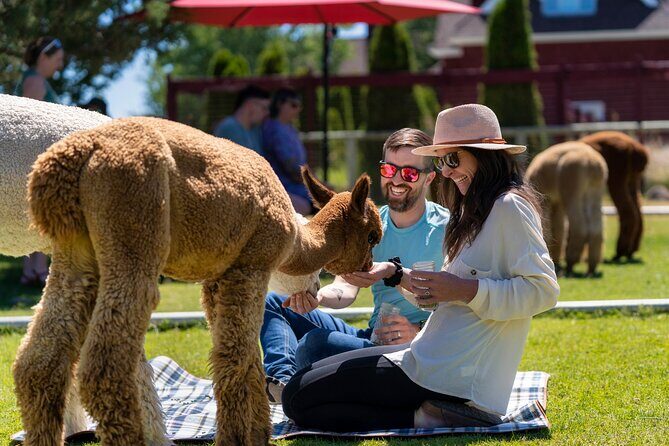 Alpaca Picnic Experience in Oregon - Who Will Love This Tour?