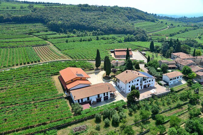 Amarone Wine Tasting from Verona - Who Should Consider This Tour?
