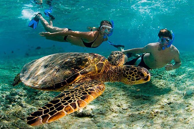 Amazing Adventure in Akumal. Swim with turtles and discover Tulum Ruins. - An In-Depth Look at the Tour Experience