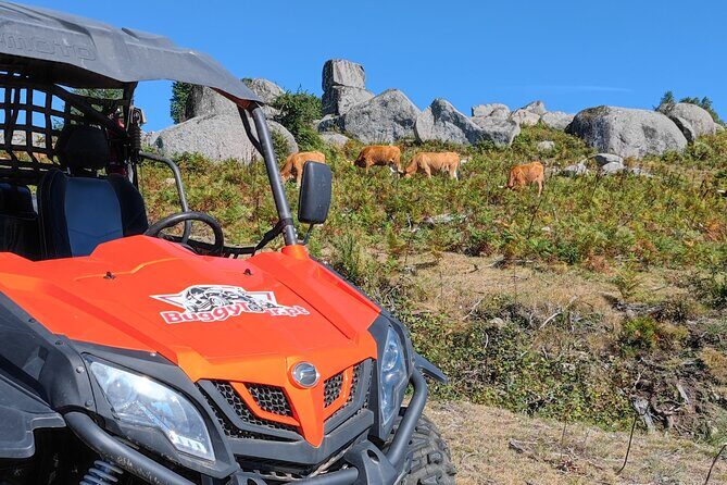 Amazing Buggy Ride in Corno do Bico - Why This Tour Offers Great Value