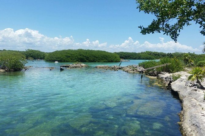 Amazing Cenote Yalku, swim in sacred waters. Transport & Guide - What to Keep in Mind
