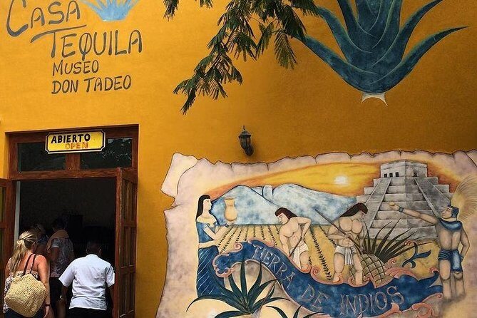 Amazing Chichen Itza Lights Show, includes Valladolid, buffet and cenote tour. - Transportation and Group Size