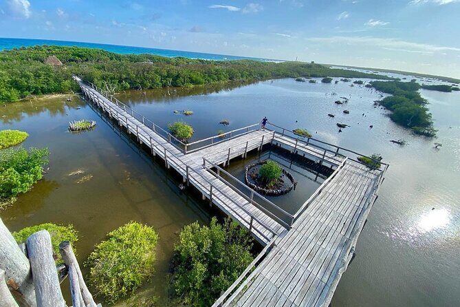 Amazing Jeep Tour Visit Punta Sur Park and San Gervasio Ruins - Authentic Experiences and Authentic Guides
