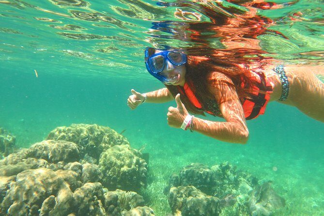 Amazing Snorkel Adventure! Round Transportation From Cancun - What Makes This Snorkeling Tour Stand Out?