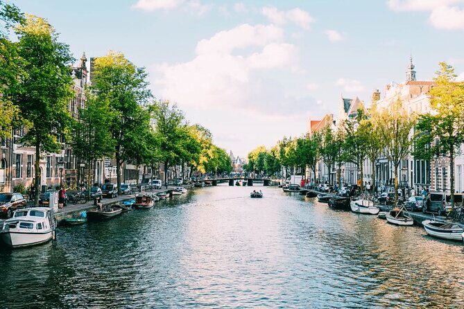 Amsterdam Highlights Walking Tour - What to Expect During the Tour