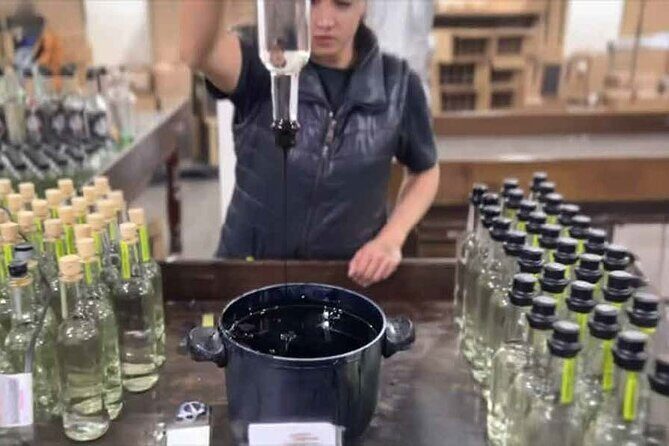 An adventure for the senses: Mezcal, fields and crafts. - Maguey Fields and the Mural Barrel Ride