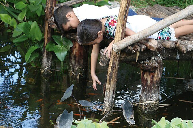 Ancestral Mayan Private Culinary Experience in Merida - What Reviewers Say