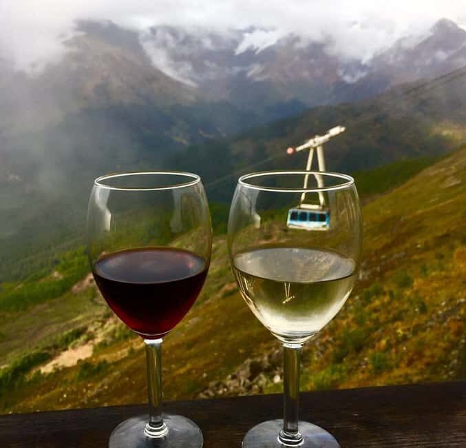 Anchorage: Wildlife, Glacier, and Wine Tasting Tour - Analyzing the Value