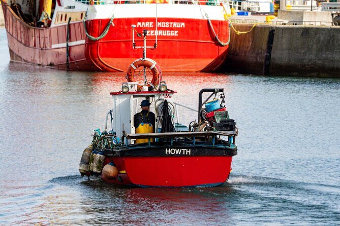 Ancient Paths of Howth Village with a Local and his Dog - Final Thoughts: Is This Tour for You?