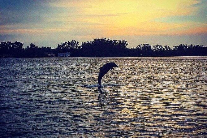 Anna Maria Island Dolphin Sunset Boat Tour - Analyzing the Value and Why It Works