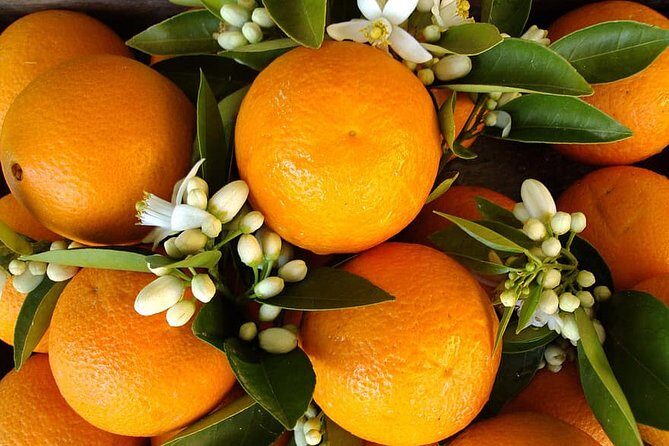 Antalya's Archaeological Treasures Tour - Who Should Consider This Tour?