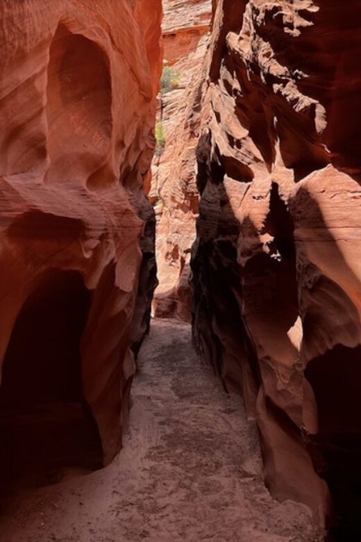 Antelope Canyon: Hidden Hiking Tour - Practical Details About the Tour