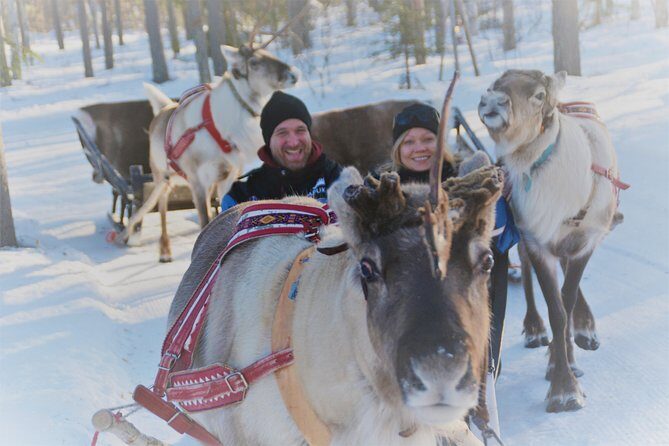 Apukka Reindeer Journey - The Value and Logistics