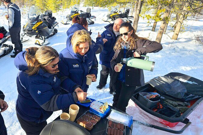 Arctic Snowmobiling Half Day Tour - Authentic Insights from Others