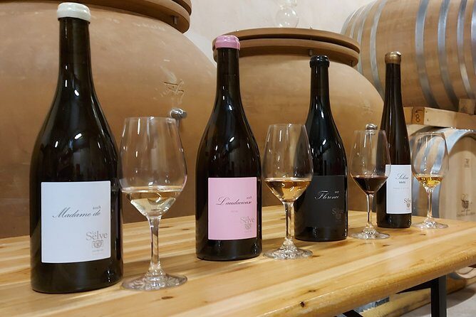 Ardéchois regional agreements - Who Should Consider This Experience?