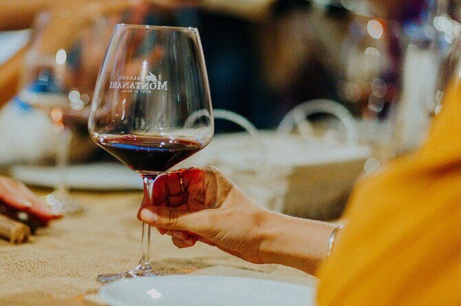 Art & Wine Experience in Valpolicella at Palazzo Montanari - What to Expect on the Tour