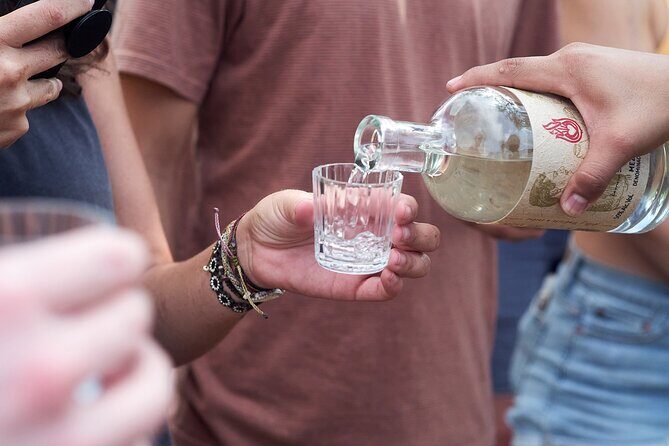 Artisanal Mezcal Culture Tour for Tasting and History - Final Thoughts: Is This Tour for You?