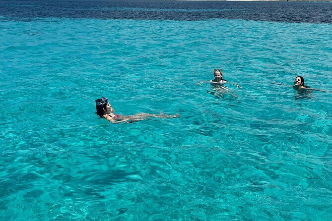 Asinara: Sailing trip in the park of Asinara - Authenticity and Customer Experience