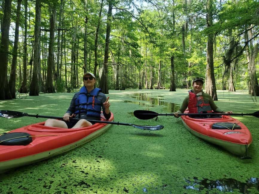 Atchafalaya Basin: 2.5 Hr. Guided Kayak Tour - An Introduction to the Atchafalaya Basin Kayak Tour