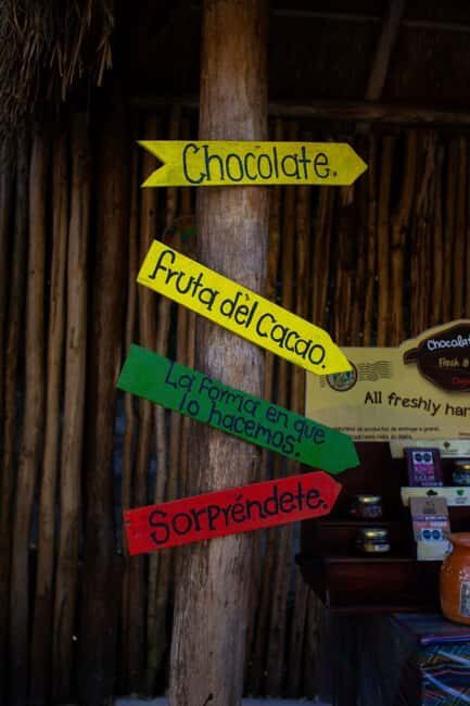 ATV 4×4+Snorkeling+Beach Club+ Lunch+Sabores de Cozumel - Who Will Love This Tour?