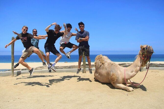 ATV and Camel Ride COMBO Adventure - What Sets This Tour Apart