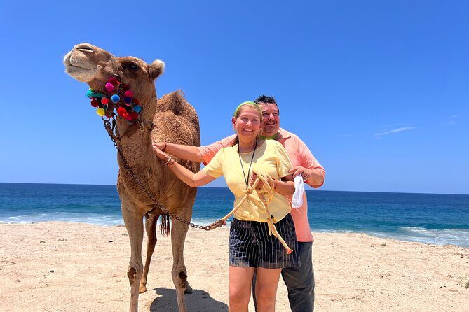 ATV and Camel Ride Combo Tour in Los Cabos - Why This Tour Offers Good Value