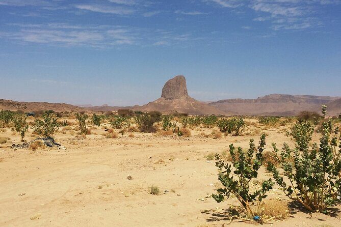 ATV Desert Adventure in Baja California Sur with Tequila Tasting - What to Expect in Terms of Experience and Value
