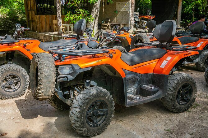 Atv Turtles and Cenote - Why Travelers Love This Tour